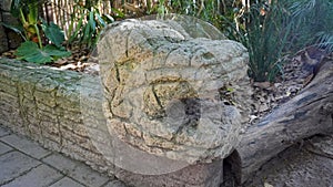 Fake ancient snake head made of stone