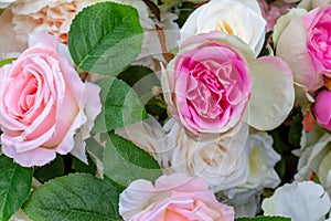 Fake artifical pink and white roses background