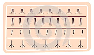 Fake eyelashes, different volume and size vector