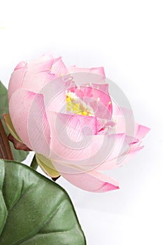 Fake flower with pink lotus on white backg