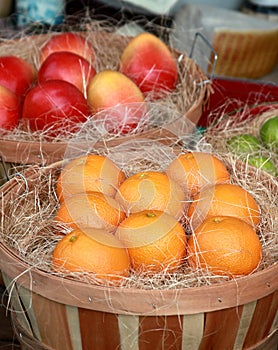 Fake fruits on display