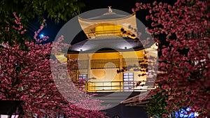 Fake Golden pavillion of Kinkakuji and pink sakura at night, Siracha