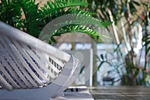 A fake green fern in a blue and white pot sits in a cane basket on a wooden dining table.