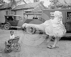 Fake ostrich pushing boy in stroller