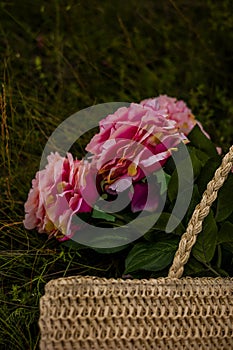 fake pink flowers closeup outdoor on the graun