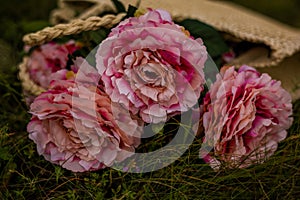 fake pink flowers closeup outdoor on the graun