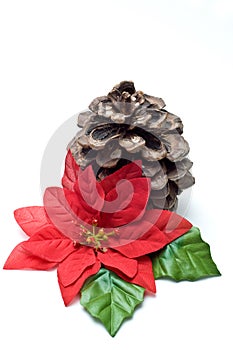Fake poinsettia with old pine cone