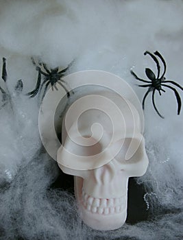 Fake skull with fake spider webs around it