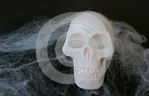 Fake skull with fake spider webs around it