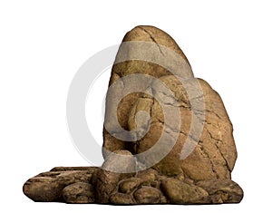 Fake stone for reptile in front of white background