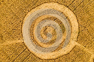 Fake UFO circles on grain crop yellow field, aerial view from drone. Round geometry shape symbols as alien signs