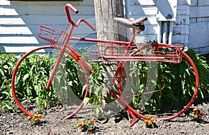 Fake welded bicycle serves as a yard decoration.