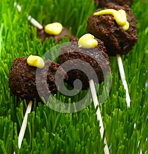 Falafel balls on a stick