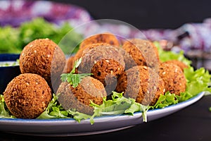 Falafel, hummus and pita. Middle eastern or arabic dishes on a dark background.