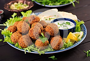 Falafel, hummus and pita. Middle eastern or arabic dishes on a dark background