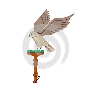 Falcon bird on the block perch with artificial grass and tethering ring, vector Falconry training equipment bird hunting