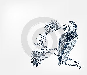 Falcon bird pine branch background japanese vector sketch illustration engraved chinese photo