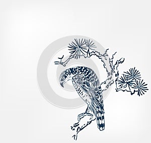 Falcon bird pine branch background japanese vector sketch illustration engraved chinese photo