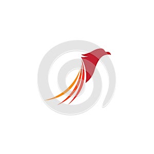 Falcon Eagle Bird Logo Template