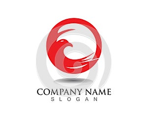 Falcon Eagle Bird Logo Template