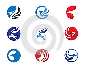 Falcon Eagle Bird Logo Template