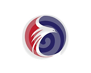 Falcon Eagle Bird Logo Template