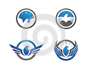 Falcon Eagle Bird Logo Template