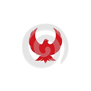 Falcon Eagle Bird Logo Template vector