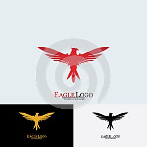 Falcon Eagle Bird Logo Template Vector Icon