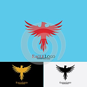 Falcon Eagle Bird Logo Template Vector Icon