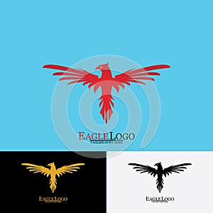 Falcon Eagle Bird Logo Template Vector Icon