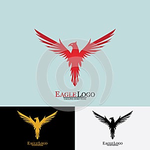 Falcon Eagle Bird Logo Template Vector Icon