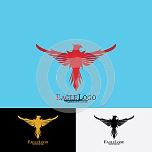 Falcon Eagle Bird Logo Template Vector Icon