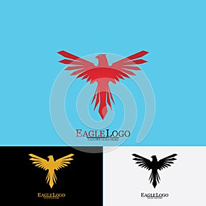 Falcon Eagle Bird Logo Template Vector Icon