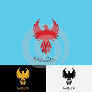 Falcon Eagle Bird Logo Template Vector Icon