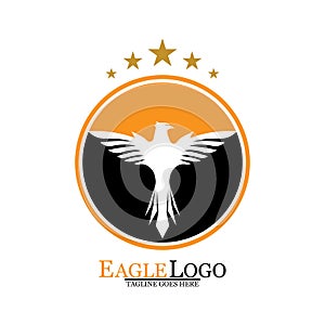 Falcon Eagle Bird Logo Template Vector Icon