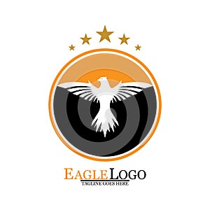 Falcon Eagle Bird Logo Template Vector Icon