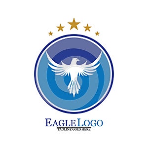 Falcon Eagle Bird Logo Template Vector Icon