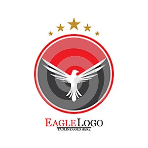 Falcon Eagle Bird Logo Template Vector Icon