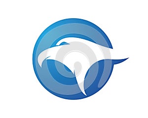 Falcon Eagle Bird Logo Template