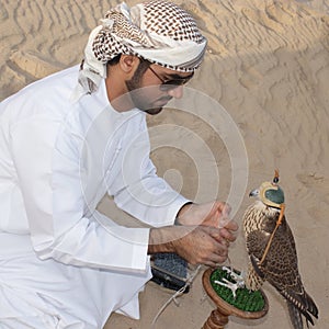 Falcon, falconry, falconer