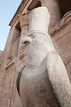 Falcon gardian of the Temple of Hor