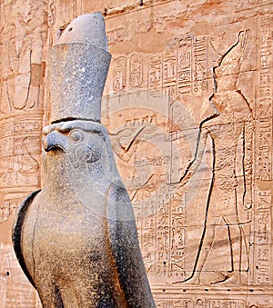 FALCON GOD IN EGYPTIAN TEMPLE photo