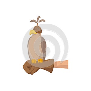 Falcon hunting cartoon icon