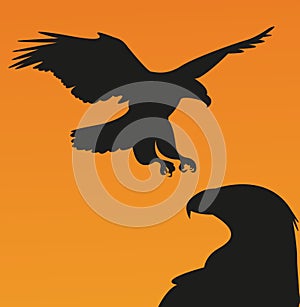 Falcon icon