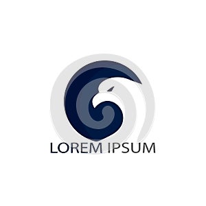 Falcon vector logo design.