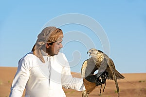 Falconer and falcon Abu Dhabi, UAE, United Arab Emirates