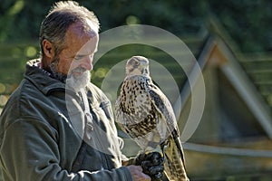 The falconer Mursa showing out falcon