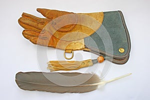 Falconry glove and feather