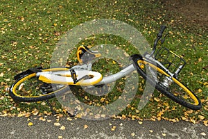 Falen bicycle on the grass photo